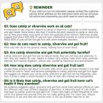 Potaroma Catnip Toys Balls 4 Pcs, Extra Cat Energy Ball, Edible Kitten Silvervine Toys