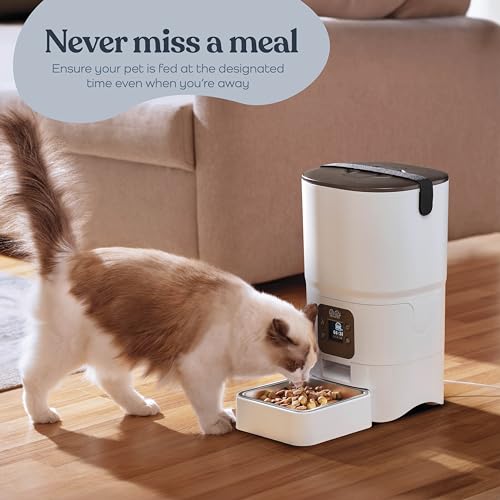 Smart Cat Feeder - LCD Screen Display - Portion Control