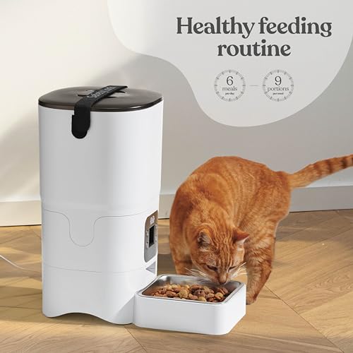 Smart Cat Feeder - LCD Screen Display - Portion Control