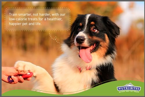 Nutri Bites (Value Pack) Beef Liver Pets Treats Freeze Dried Premium Quality Single Ingredients High Protein 17.6 OZ 