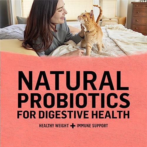 Grain Free Natural Cat Food - Salmon & Sweet Potato