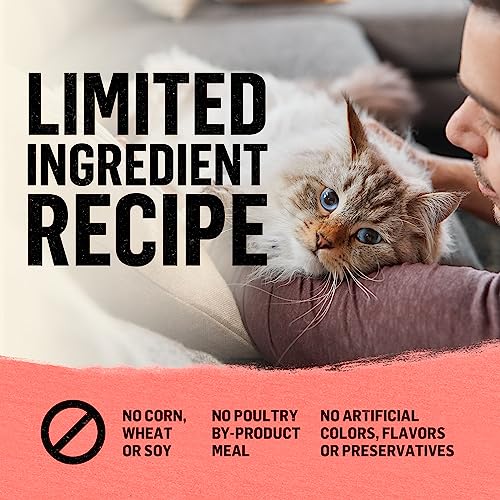 Grain Free Natural Cat Food - Salmon & Sweet Potato