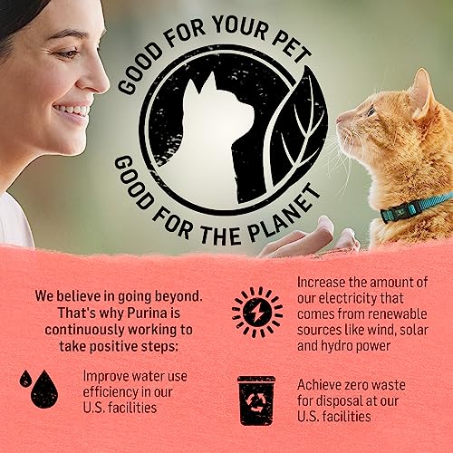 Grain Free Natural Cat Food - Salmon & Sweet Potato