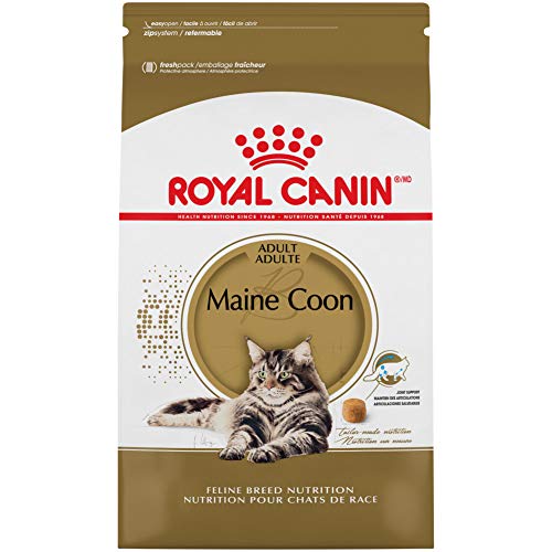 Royal Canin Maine Coon Adult Cat Food, 6lb