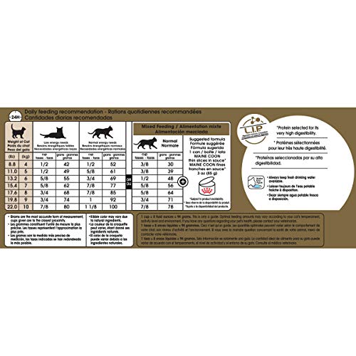 Royal Canin Maine Coon Adult Cat Food, 6lb