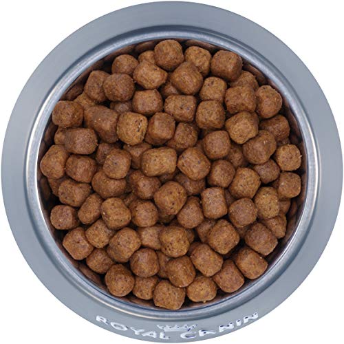 Royal Canin Maine Coon Adult Cat Food, 6lb