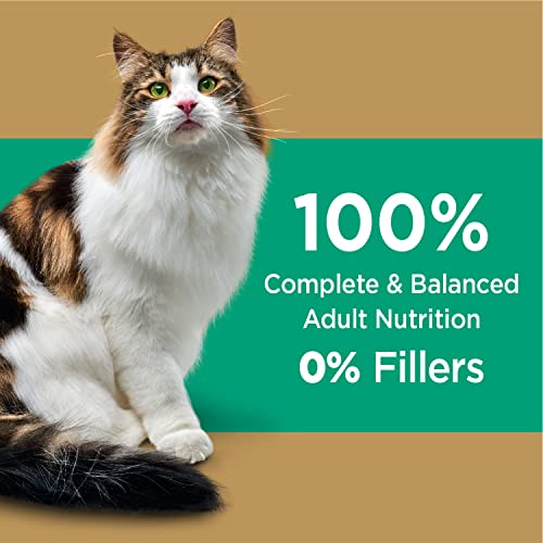 IAMS Long Hair Care Cat Food, 3 lb. Bag