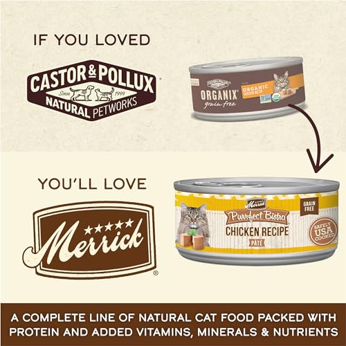 Grain Free Organic Chicken Recipe Cat Food