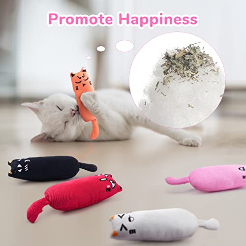 Legendog 5Pcs Catnip Toy - Bite Resistant, Multicolor