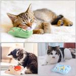 Catnip Toys for Indoor Cats - 5 Plush Interactive Toys
