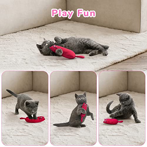 Legendog 5Pcs Catnip Toy - Bite Resistant, Multicolor