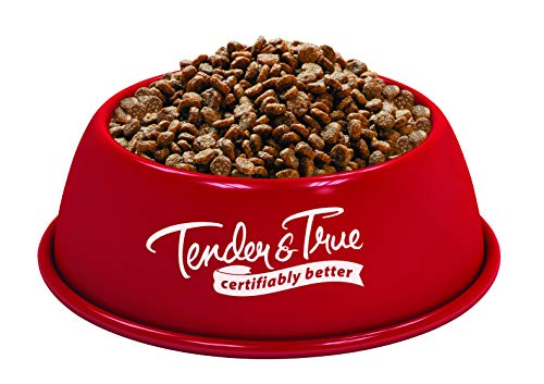 Organic Turkey & Liver Recipe Cat Food, 7 lb