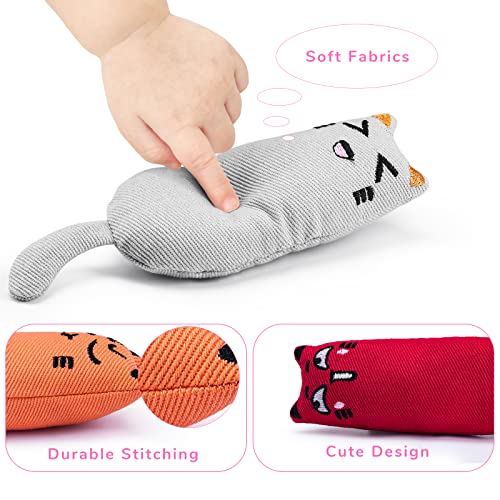 Legendog 5Pcs Catnip Toy - Bite Resistant, Multicolor