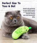 Crunchy Pickle Kicker Catnip Toy for Cats