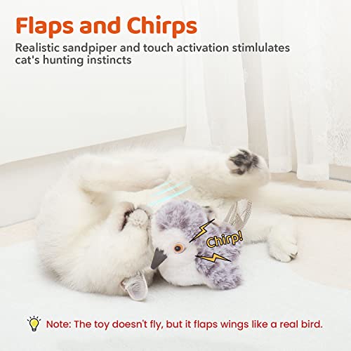 Interactive Flapping Bird Cat Toy with Catnip