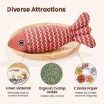 Catnip Fish Toys: Interactive Kicker for Indoor Kitty