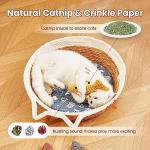 Catnip Fish Toys: Interactive Kicker for Indoor Kitty