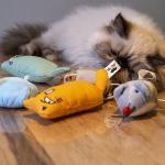 Cats' Paradise Pack: 7 Catnip Toys & Mouse