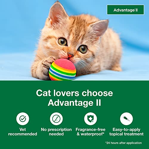 Advantage II Kitten Flea Treatment - 2 Month Supply