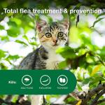 Advantage II Kitten Flea Treatment - 2 Month Supply