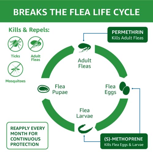 Flea and Tick Topical Treatment for Cats (6 count)