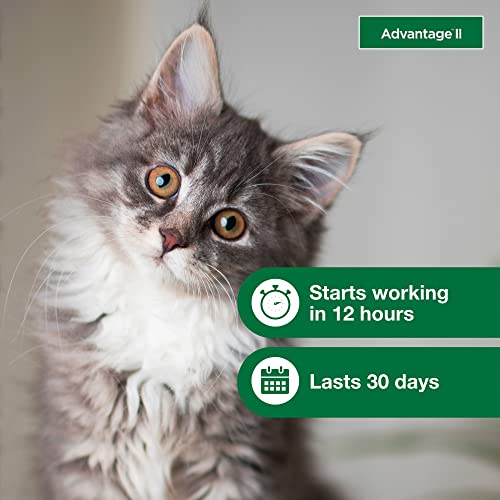 Advantage II Kitten Flea Treatment - 2 Month Supply