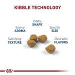 Royal Canin Indoor 7+ Adult Cat Food 2.5lb