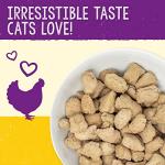Stella & Chewy’s Freeze-Dried Raw Cat Dinner Morsels 8oz.