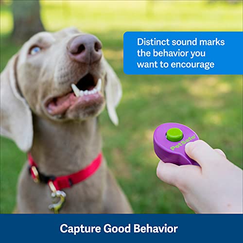 Purple PetSafe Clik-R Dog Training Clicker - All Ages
