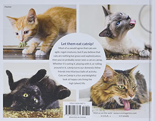 Catnip for your Feline Friends