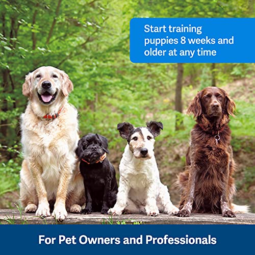 Purple PetSafe Clik-R Dog Training Clicker - All Ages