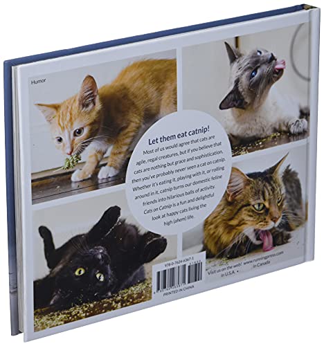 Catnip for your Feline Friends