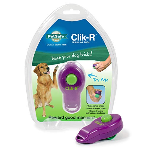 Purple PetSafe Clik-R Dog Training Clicker - All Ages