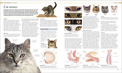 Cat Encyclopedia: Ultimate Visual Guide (DK Pet Encyclopedias)