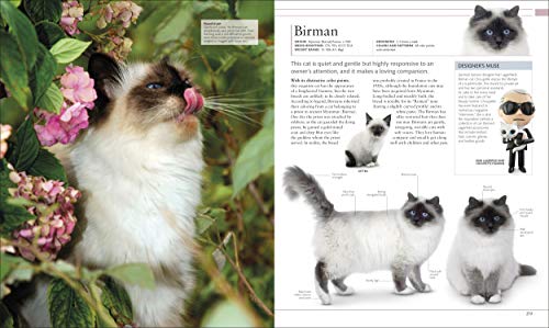 Cat Encyclopedia: Ultimate Visual Guide (DK Pet Encyclopedias)