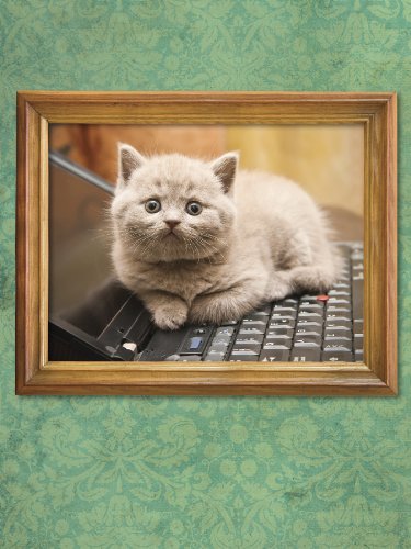 Funny Cat Poems Book - Perfect Gift for Cat Lovers