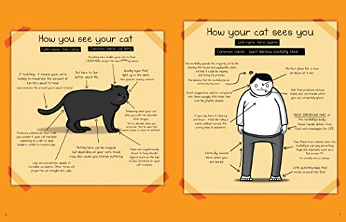 Cat Plotting: The Oatmeal, Volume 2