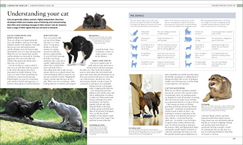 Cat Encyclopedia: Ultimate Visual Guide (DK Pet Encyclopedias)