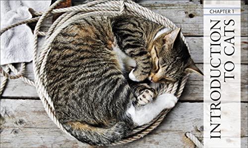 Cat Encyclopedia: Ultimate Visual Guide (DK Pet Encyclopedias)