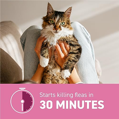 Capstar: Fast-Acting Oral Flea Treatment Tablets for Cats