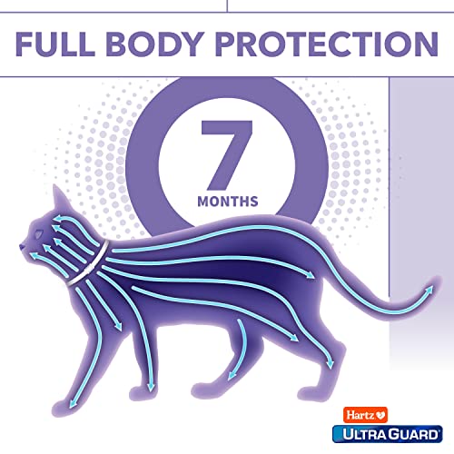 Hartz UltraGuard 7-Month Flea & Tick Collar