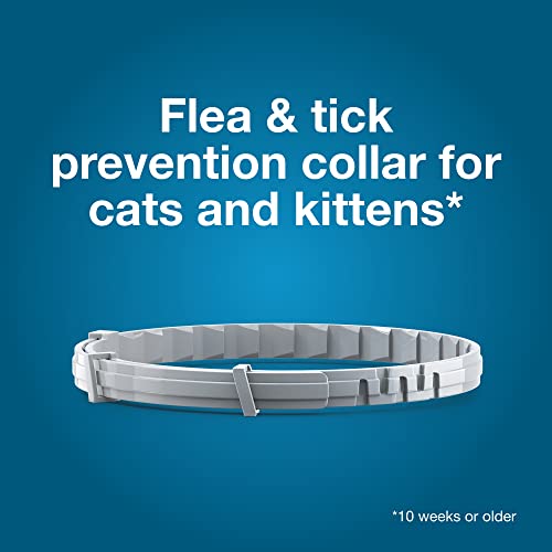 Seresto Cat Collar: 8 Months Flea & Tick Protection