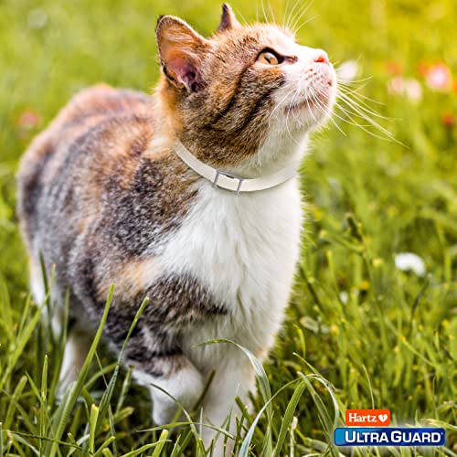 Hartz UltraGuard 7-Month Flea & Tick Collar