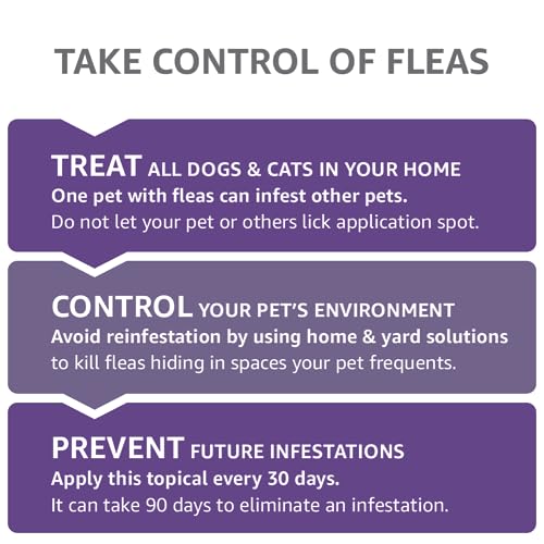 Large Cat Flea Topical - 4 Count