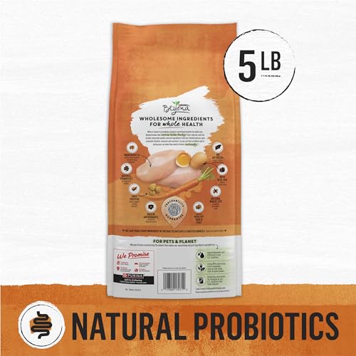 Purina Beyond Grain Free Chicken and Egg Cat Food - 5 lb. Bag