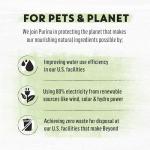 Purina Beyond Grain Free Chicken and Egg Cat Food - 5 lb. Bag