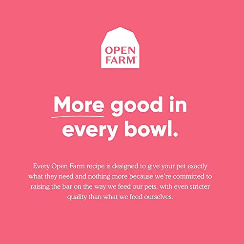 Wild-Caught Salmon Grain-Free Cat Food with Non-GMO Superfoods