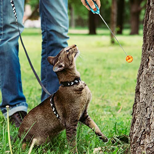 Cat Clicker Training Kit: Target Sticks & Clickers