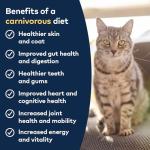 ZIWI Peak Canned Cat Food - Mackerel & Lamb Flavor