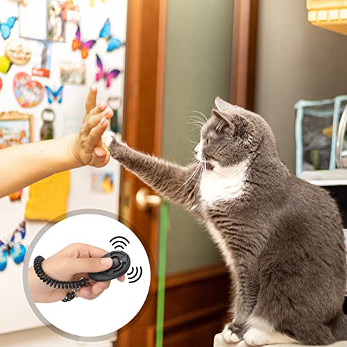 Cat Clicker Training Kit: Target Sticks & Clickers